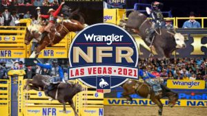 nfr live stream